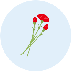 母の日の花などの季節商材